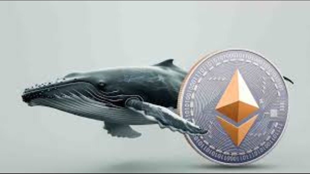 سیگنال نهنگ های اتریوم 2026