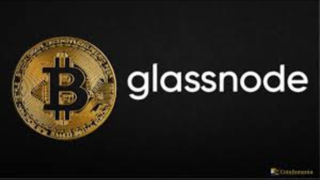گزارش glassnode